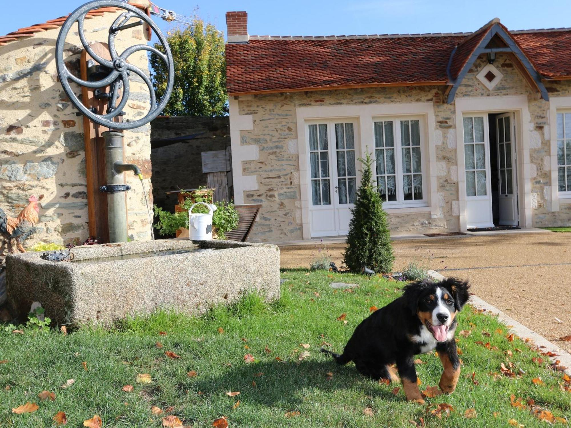 Gite L'Orangerie Villa Mouchamps Luaran gambar
