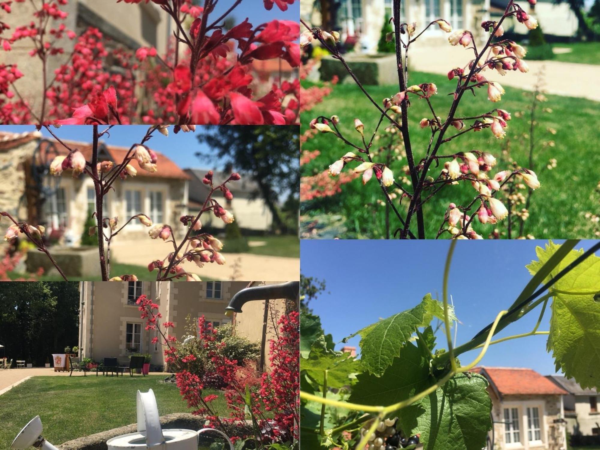 Gite L'Orangerie Villa Mouchamps Luaran gambar