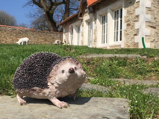 Gite L'Orangerie Villa Mouchamps Bilik gambar